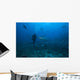 Scuba Diver and Silvertip Wall Decal