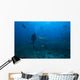 Scuba Diver and Silvertip Wall Decal