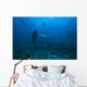 Scuba Diver and Silvertip Wall Decal