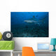Silvertip Shark Bistro Dive Wall Decal