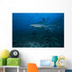 Silvertip Shark Bistro Dive Wall Decal