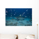 Large Bull Shark Bistro Turning Away Wall Decal