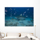 Large Bull Shark Bistro Turning Away Wall Decal