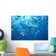 Large Bull Shark Bistro Underneath Wall Decal