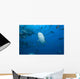 Large Bull Shark Bistro Jaw View Wall Decal