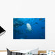 Large Bull Shark Bistro Jaw View Wall Decal