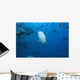 Large Bull Shark Bistro Jaw View Wall Decal