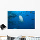 Large Bull Shark Bistro Jaw View Wall Decal