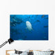 Large Bull Shark Bistro Jaw View Wall Decal