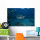 Large Bull Shark Bistro Open Mouth Wall Decal