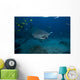 Large Bull Shark Bistro Open Mouth Wall Decal