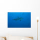 Large Bull Shark Bistro Distant Bottom Wall Decal