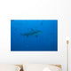 Large Bull Shark Bistro Distant Bottom Wall Decal