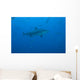 Large Bull Shark Bistro Distant Bottom Wall Decal