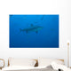 Large Bull Shark Bistro Distant Bottom Wall Decal