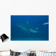Large Bull Shark Bistro Top Right Wall Decal