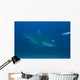 Large Bull Shark Bistro Top Right Wall Decal