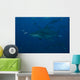 Large Bull Shark Bistro Dark Wall Decal