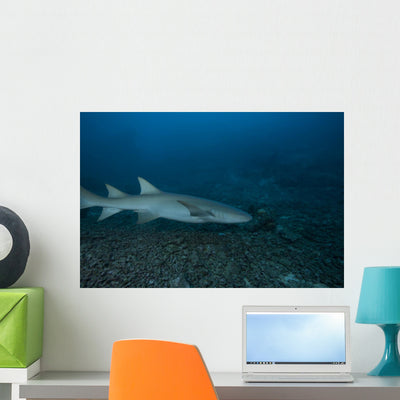Large Tawny Nurse Shark Wall Decal shown on a wall