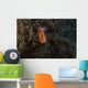 Pink Anemonefish Its Host Wall Nestled Decal