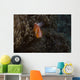 Pink Anemonefish Its Host Wall Nestled Decal