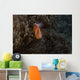 Pink Anemonefish Its Host Wall Nestled Decal