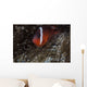 Tomato Clownfish Its Host Left Profile Wall Decal