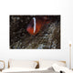 Tomato Clownfish Its Host Left Profile Wall Decal