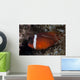 Tomato Clownfish Its Host Left Wall Decal
