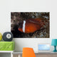 Tomato Clownfish Its Host Left Wall Decal