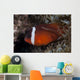 Tomato Clownfish Its Host Left Wall Decal