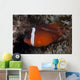 Tomato Clownfish Its Host Left Wall Decal