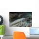 Latticed Sandperch Beqa Lagoon Wall Decal