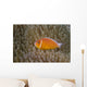 Pink Anemonefish Its Host Left Side Wall Decal