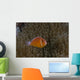 Pink Anemonefish Its Host Right Profile Wall Decal