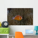 Pink Anemonefish Its Host Right Profile Wall Decal