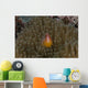 Pink Anemonefish Its Host Front Wall Decal