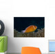 Pink Anemonefish Its Host Right Side Wall Decal