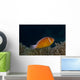 Pink Anemonefish Its Host Right Side Wall Decal