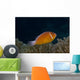 Pink Anemonefish Its Host Right Side Wall Decal