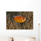 Pink Anemonefish Its Host Close Right Wall Decal