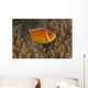 Pink Anemonefish Its Host Close Right Wall Decal