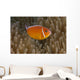 Pink Anemonefish Its Host Close Right Wall Decal