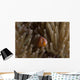 Pink Anemonefish Its Host Wall Decal