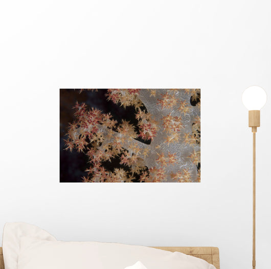 Close-up Tree Coral Fijian Branch Wall Decal