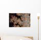 Close-up Tree Coral Fijian Branch Wall Decal