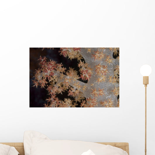 Close-up Tree Coral Fijian Branch Wall Decal