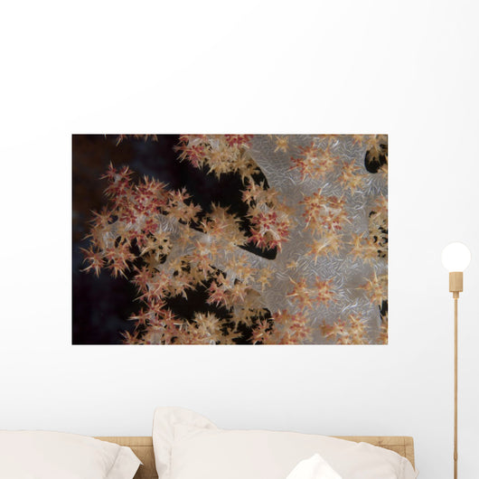 Close-up Tree Coral Fijian Branch Wall Decal