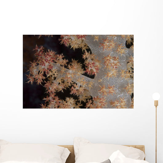 Close-up Tree Coral Fijian Branch Wall Decal