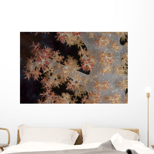 Close-up Tree Coral Fijian Branch Wall Decal